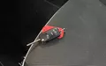Miniature SEAT MII 1.0 75 ch Urban Design photo 19 213625