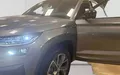 Miniature SKODA KODIAQ 2.0 TDI 200 SCR DSG7 4x4 5pl Sportline photo 16 213644