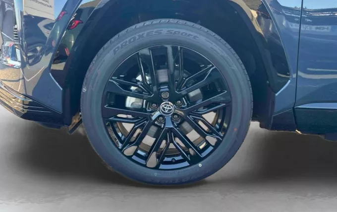 TOYOTA RAV4 PHEV 309 ch AWD-i Graphic photo 9 219547