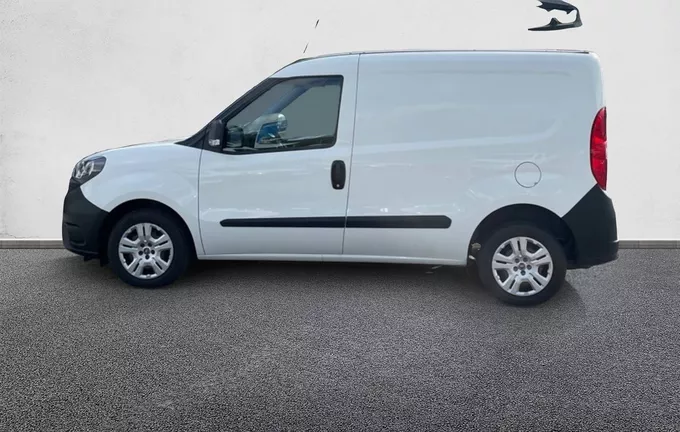 FIAT DOBLO CARGO FT 1.6 MULTIJET 105 PRO LOUNGE extérieur côté gauche 106317