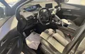 Miniature PEUGEOT 3008 Hybrid4 300 e-EAT8 GT photo 11 2128316