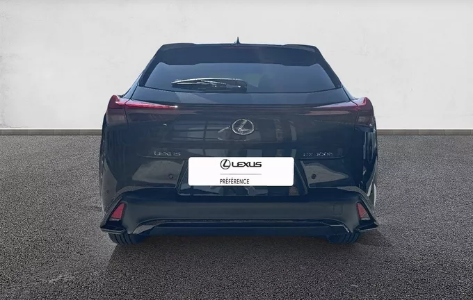 LEXUS UX 300h 2WD F SPORT Design extérieur arrière 147985