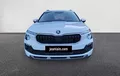 Miniature SKODA KAMIQ 1.0 TSI Evo 2 116 ch DSG7 Clever Edition extérieur avant 9571