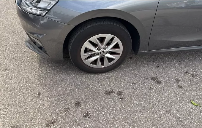 SKODA FABIA 1.0 MPI 80 ch BVM5 Ambition photo 12 2129011