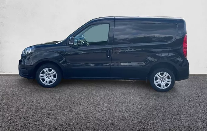 FIAT DOBLO CARGO FT 1.6 MULTIJET 105 PRO LOUNGE extérieur côté gauche 106314