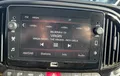 Miniature FIAT DOBLO CARGO FT 1.6 MULTIJET 105 PRO LOUNGE photo 15 106314