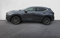 Miniature LEXUS NX 350h 2WD Hybride Luxe extérieur côté gauche 1103167