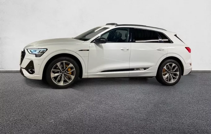AUDI E-TRON 55 quattro 408 ch S line extérieur côté gauche 2128022