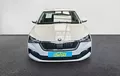 Miniature SKODA SCALA 1.0 TSI Evo 110 ch DSG7 Business extérieur avant 213096