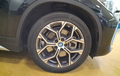 Miniature BMW X1 xDrive 25e 220 ch BVA6 xLine photo 9 212825