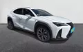 Miniature LEXUS UX 250h 4WD F SPORT Design extérieur trois quart avant droit 1103736