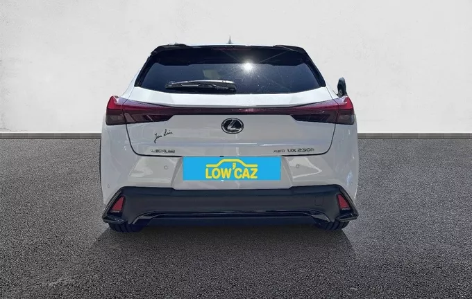 LEXUS UX 250h 4WD F SPORT Design extérieur arrière 1103736