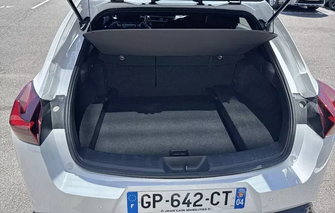 LEXUS UX 250h 4WD F SPORT Design photo 10 1103736