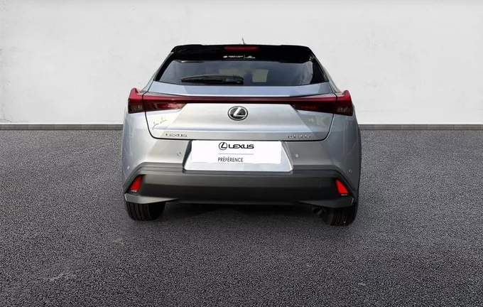 LEXUS UX 300h 2WD Luxe extérieur arrière 74591