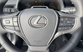 Miniature LEXUS UX 300h 2WD Luxe photo 12 74591