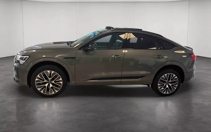 AUDI Q8 E-TRON Sportback 55 408 ch 114 kWh Quattro S line extérieur côté gauche 2131556