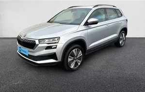 SKODA KAROQ 2.0 TDI 116 ch SCR DSG7 Business TMBJF7NU1PC219565