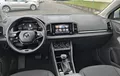 Miniature SKODA KAROQ 2.0 TDI 116 ch SCR DSG7 Business extérieur trois quart avant droit 212429