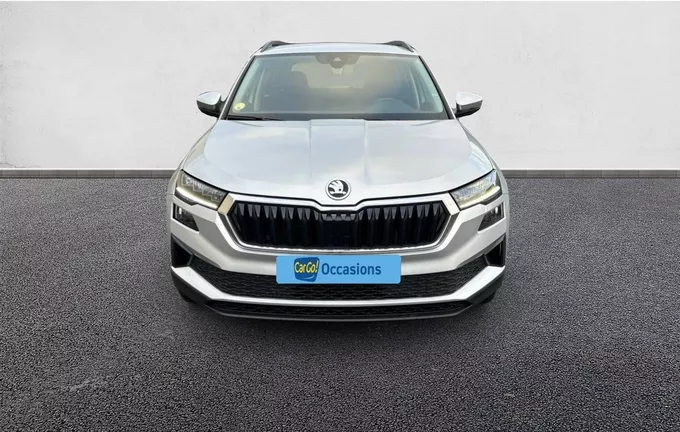 SKODA KAROQ 2.0 TDI 116 ch SCR DSG7 Business photo 9 212429