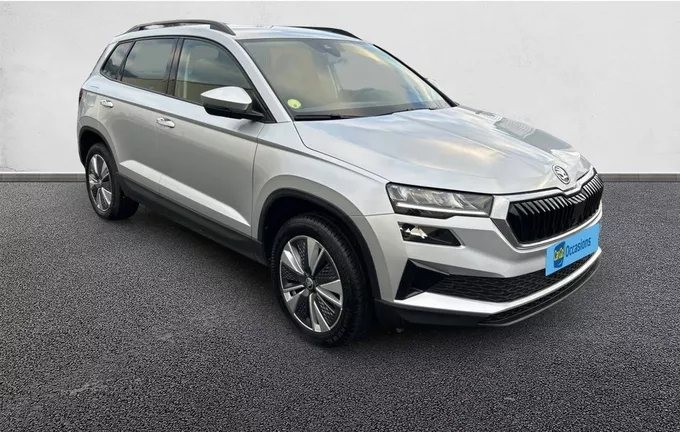 SKODA KAROQ 2.0 TDI 116 ch SCR DSG7 Business photo 10 212429