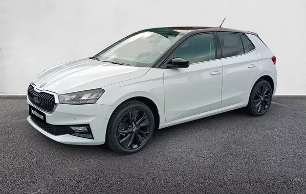 SKODA FABIA 1.0 TSI 95 ch EVO 2 BVM5 Clever Edition 3044