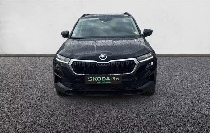 SKODA KAROQ 2.0 TDI 116 ch SCR Business photo 9 2130127