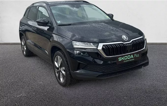 SKODA KAROQ 2.0 TDI 116 ch SCR Business photo 10 2130127