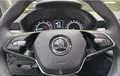 Miniature SKODA FABIA 1.0 TSI 95 ch BVM5 Ambition photo 18 2130278