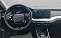 Miniature SKODA OCTAVIA Combi 2.0 TDI 150 ch SCR DSG7 Selection photo 11 2130992