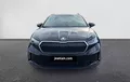Miniature SKODA ENYAQ iV 60 extérieur avant 9558