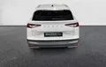 Miniature SKODA ENYAQ iV 60 extérieur côté gauche 2123034