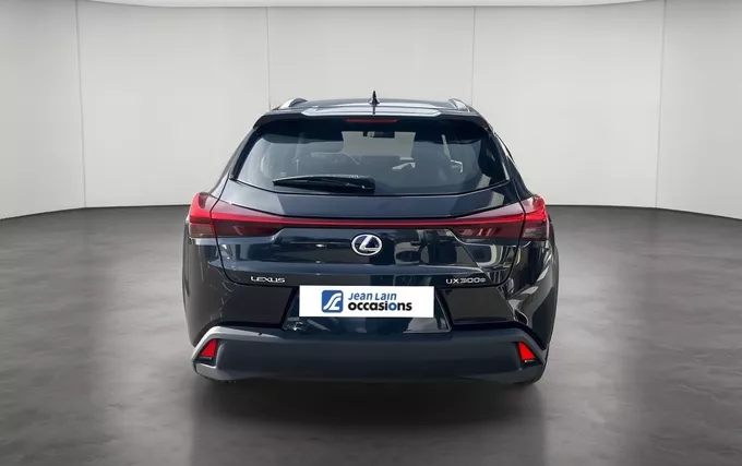 LEXUS UX 300e Pack extérieur arrière 1104063
