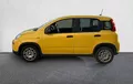 Miniature FIAT PANDA 1.0 70 ch Hybrid BSG S/S (RED) extérieur côté gauche 2125702