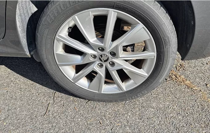 SKODA KAMIQ 1.0 TSI Evo 110 ch BVM6 Ambition photo 12 2130385