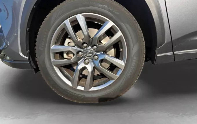 LEXUS NX 300h 4WD Luxe photo 9 110450