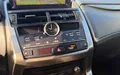 Miniature LEXUS NX 300h 4WD Luxe photo 14 110450
