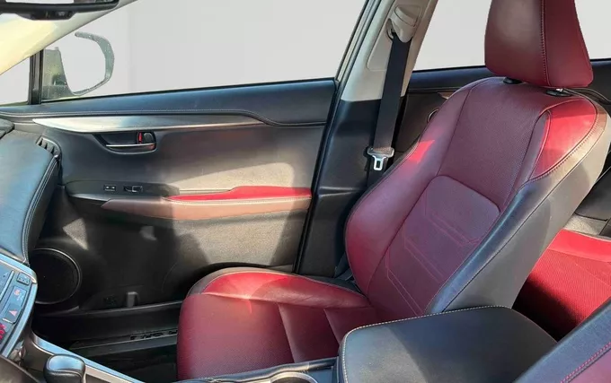 LEXUS NX 300h 4WD Luxe photo 18 110450