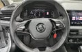 Miniature SKODA KAMIQ 1.0 TSI Evo 110 ch DSG7 Ambition photo 19 2131471