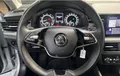 Miniature SKODA KAMIQ 1.0 TSI Evo 110 ch DSG7 Ambition photo 20 2130697