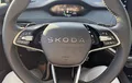 Miniature SKODA ELROQ 340 ch Batterie RS RS photo 12 0783