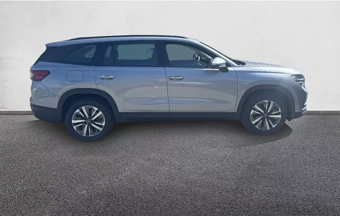SKODA KODIAQ 2.0 TDI 150 ch SCR DSG7 5pl Selection extérieur côté droit 3790