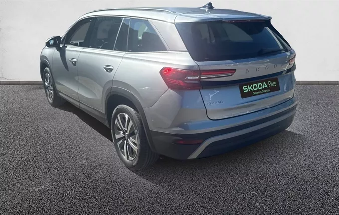 SKODA KODIAQ 2.0 TDI 150 ch SCR DSG7 5pl Selection photo 11 3790