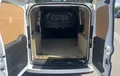 Miniature FIAT DOBLO CARGO FT 1.6 MULTIJET 105 PRO LOUNGE extérieur arrière 946469