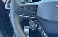 Miniature CUPRA TERRAMAR 1.5 eTSI Hybrid 150 ch DSG7 V photo 23 2131784
