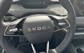 Miniature SKODA ELROQ 340 ch Batterie RS RS photo 12 1346