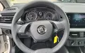 Miniature SKODA KAMIQ 1.0 TSI 95 ch BVM5 Active photo 20 2128588