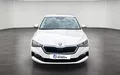 Miniature SKODA SCALA 1.0 TSI Evo 110 ch DSG7 Business extérieur avant 2132170