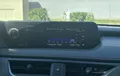 Miniature LEXUS UX 250h 2WD F SPORT photo 15 1103859