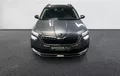 Miniature SKODA KAMIQ 1.0 TSI Evo 110 ch DSG7 Ambition photo 9 2131423