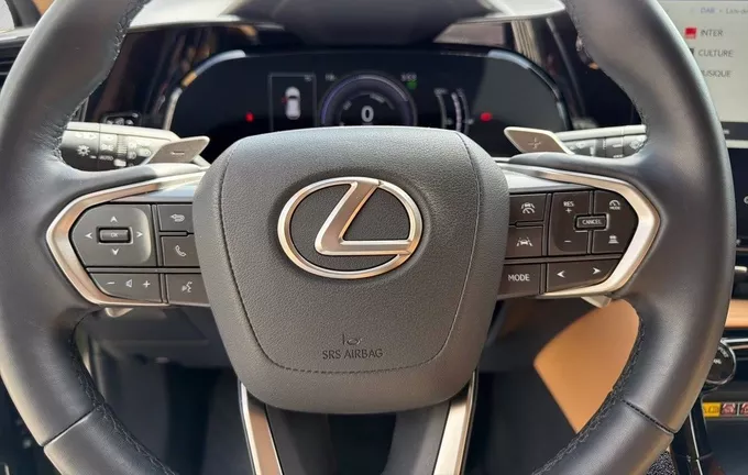 LEXUS NX 450h+ 4WD Hybride Rechargeable Luxe photo 12 1103385